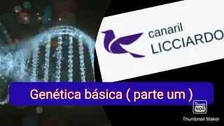 Gen&eacute;tica b&aacute;sica ( parte um ) - canaril Licciardo