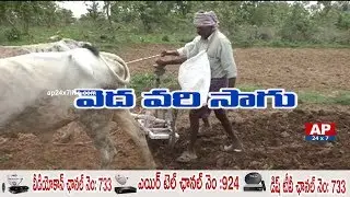 Farmers Get Best Results with Veda Vari Cultivation | Rythu Ratham | AP24x7
