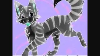 TheWarriors Within's intro
