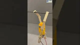 DIY Climbing Robot Using Gear Motor #roboarmy #scienceproject #arduinoproject #climbingrobot