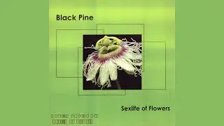 The Black Pine - Sexlife Of Flowers {DISC ROT} (Full EP) [Indie Rock, 2003]
