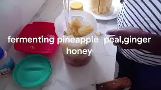 Fermenting pineapple peal