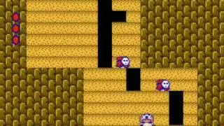 Super Mario Bros. 2: Level 2-2