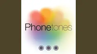 Refined Professional Business Alert Tone SMS