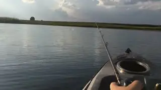 Kayak Bass Fishing in THICK Grass!