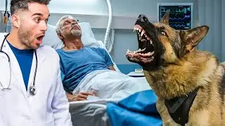 Dog Prevents Owner From Being Taken off Life Support  The Reason Will Make You Cry