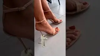Nude Casadei high heels try-on ❤️❤️ #highheels #feet #casadei #designershoes