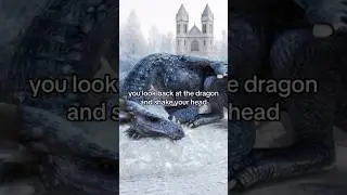 Choose wisely! #fantasy #writer #original #book #new #fyp #meme #chose #choose #edit #dragon #learn