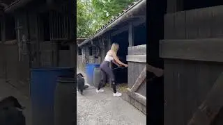 Naughty one 🤷🏼&zwj;♀️🐴 #equestrian #horse #horseriding