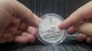 Australia Lunar perth mint snake 2 oz silver coin 2025 bullion review