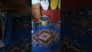 bermain bola challenge masuk ember #shorts #challenge #ember #bola #bermain #hiburan