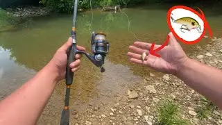 Creek Fishing with Micro Crank Bait!! (Big Smallmouth Bass!!!)