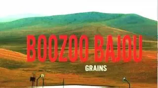 Boozoo Bajou - Flickers /2009/