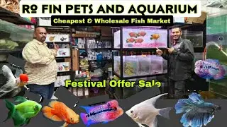 Lowest prices Aquarium Fish shop | Ro fin pets and aquarium Tannery Road Bangalore
