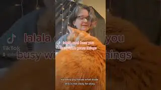 MY CAT HATES TAROT ● TAROT OUTTAKE #tarot #tarotreader