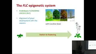 Martin Howard: Setting timescales for epigenetic switching