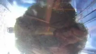 Chaeto Ball