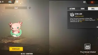 Zasil Pet Ability Test (Super Duper Ability)