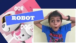 Meet my pet robot dog #robot #tech #kerala