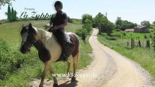 Reiten in der Toscana - Strand Meer Reiterferien Urlaub Pferde Ausritt Italien Maremma