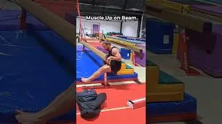 Muscle Up on Beam #shorts #calisthenics  #motivation #gymnasty #gymnasticshorts #muscleup #fitness