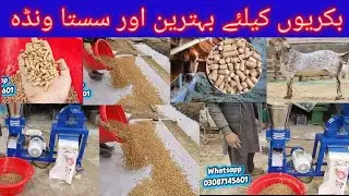 بکریوں کیلئے بہترین ونڈہ بنانے کا آسان طریقہ | Goat Feed Formula in Urdu