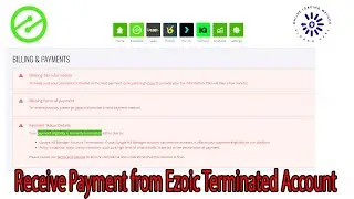 Solution For Ezoic Payment Eligibility Termination | Receive Ezoic Earnings | Online Loading Methods