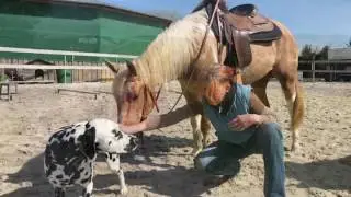 Main Tauber Ranch