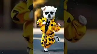 Cool Dog dance hay hay #chinese #dance #hayhay #dog #viral #foryoupage #petdance #cat #petstory
