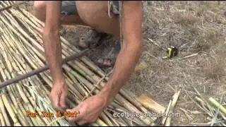 Fabrication d'un panneau en roseaux
