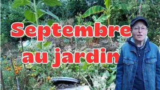 Les Travaux de Septembre au Potager Urbain en Permaculture
