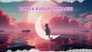 Habibi X Danza Kuduro Remix || By @viraltalks_7