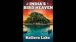 Kolleru Lake -Fresh water Lake | Places in News #prelims2026 #location