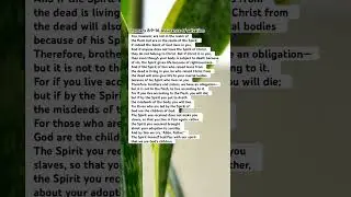 📕Romans 8:9-16 Assurance-salvation, Power-the Holy Spirit #Most-Read Bible #1min_voiceover #shorts