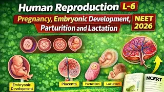 Human Reproduction L-6 | Pregnancy, Embryonic Development, Parturition and Lactation