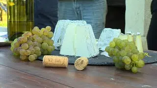 reportage : les 2 AOC Valencay
