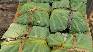 PAES SA BUKO | PAGKAING BUKID | OUTDOOR COOKING |Team AgustinTV