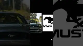 🐎horse logo cars🚗