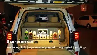 Scorpion Car Tuning Бар органайзер organayzer Бар в багажнике Գազաբալոնների պաստառապատում Բարեր