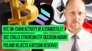Bitcoin activity drops, SEC delays ETF decision, Poland rejects crypto, Metaplanet and Ripple