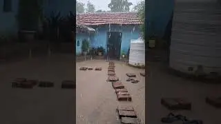 Heavy rains at sidhi#rain#barish#savan#tej barish#sidhi mp#village life#rural india
