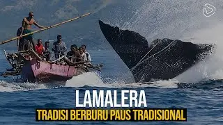 Lamalera: Tradisi Berburu Paus Tradisional Berusia Ratusan&nbsp;Tahun