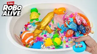 🐠toy asmr🐠 ZURU Robo Alive Aquarium & Robo Golden Shark & Robo Sea Animal Toys ASMR 🌟 Review Toys