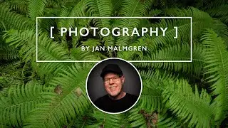 Why I brought only ONE lens to this woodland stream | GFX 100 II and GF 20-35mm