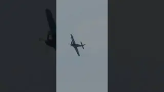 flyby lowpass P-51mustang #aviation #event #flyby #flypast #lowpass #low #sound #show #demo #display