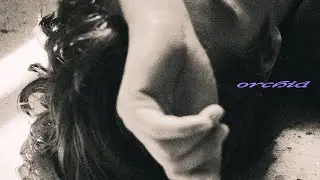 livingthing - orchid (Official Lyric Video)
