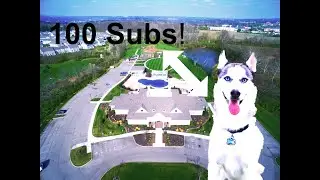 Dog Walking in the Park (drone video)