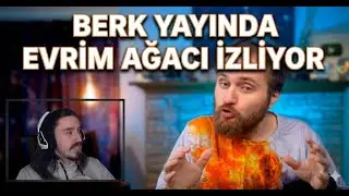 Beskok Evrim Ağacı 