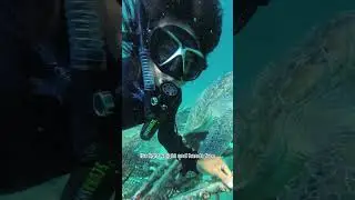 Mini Portable Scuba Tank