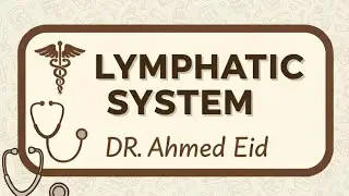 Lymphatic system 